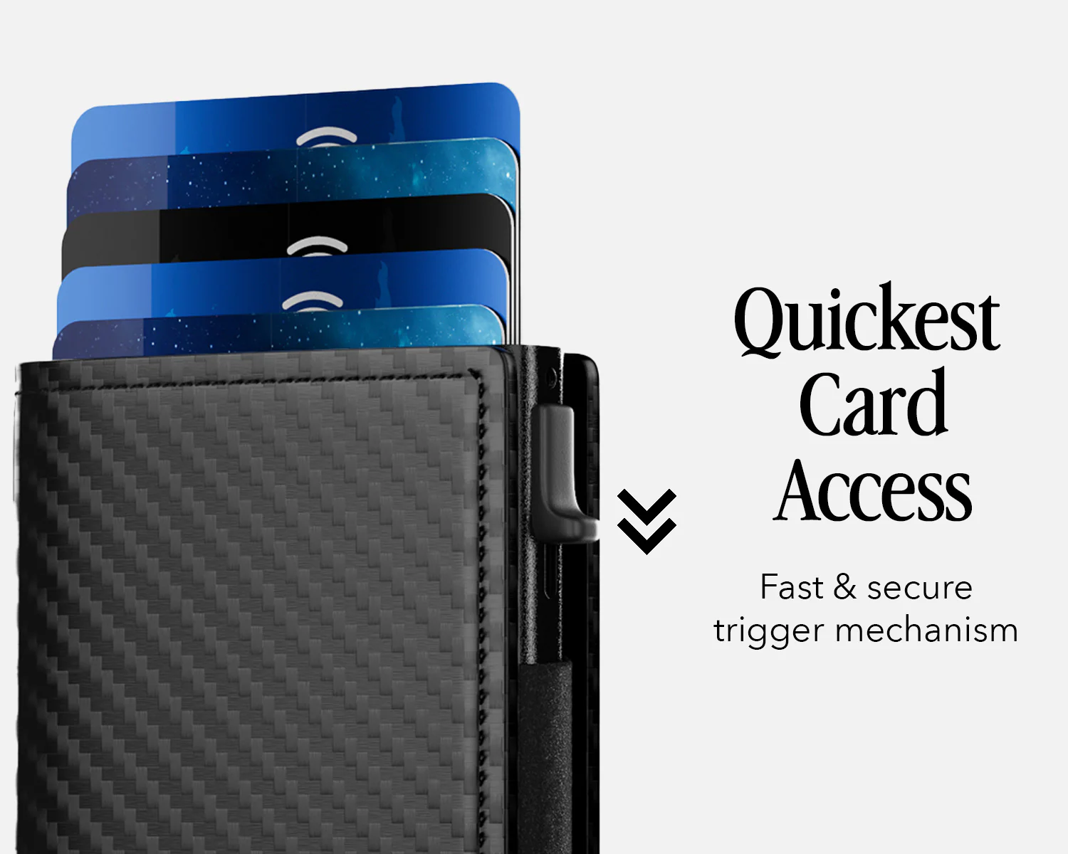 Bifold Edition - Image 38